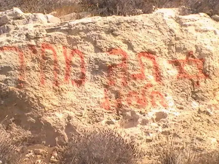 עקירת עצי זית בח'ירבת שוויכה כחלק מפעולת תג מחיר (יח"צ , נסר אל נוואג'עה, בצלם)