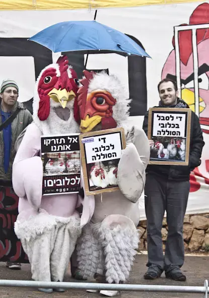 הפגנה מול הכנסת של פעילי אנונימוס נגד כלובי סוללה, 23 בינואר 2012 (יח"צ , אלון שרף) הפגנה מול הכנסת של פעילי אנונימוס נגד כלובי סוללה, 23 בינואר 2012 (יח"צ , אלון שרף)