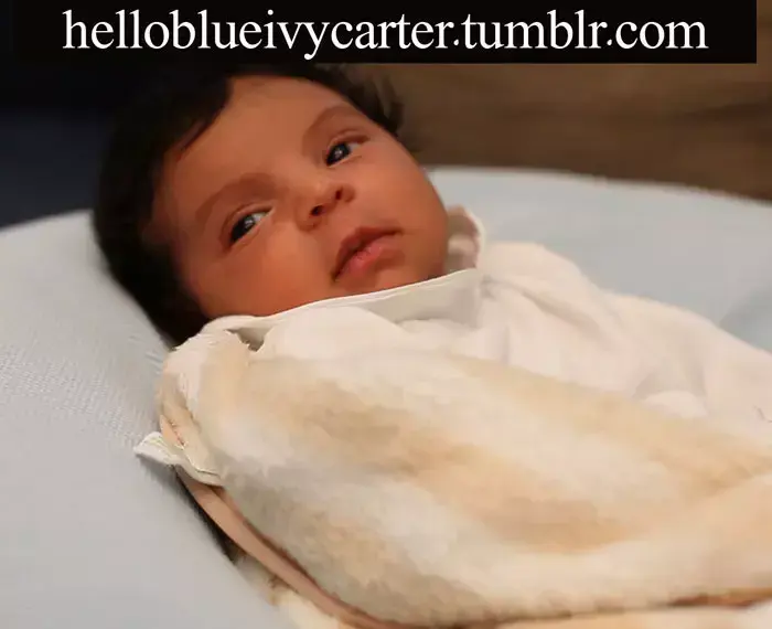 בלו אייבי קרטר, הבת של ביונסה (צילום מסך , helloblueivycarter.tumblr.com)