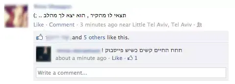 מעבדות לחירות: שיעבוד ללייקים בפייסבוק (צילום מסך , facebook) מעבדות לחירות: שיעבוד ללייקים בפייסבוק (צילום מסך , facebook)
