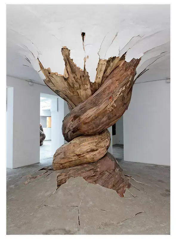 Desnaturenza | Henrique Oliveira , 2011, מתוך הטמבלר rustybreak (צילום מסך) Desnaturenza | Henrique Oliveira , 2011, מתוך הטמבלר rustybreak (צילום מסך)