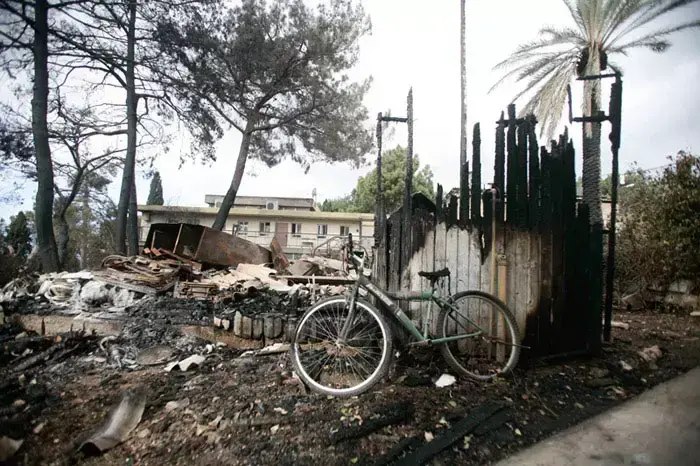 תוצאות שריפת הענק בכרמל, יום שני (אורי לנץ) תוצאות שריפת הענק בכרמל, יום שני (אורי לנץ)