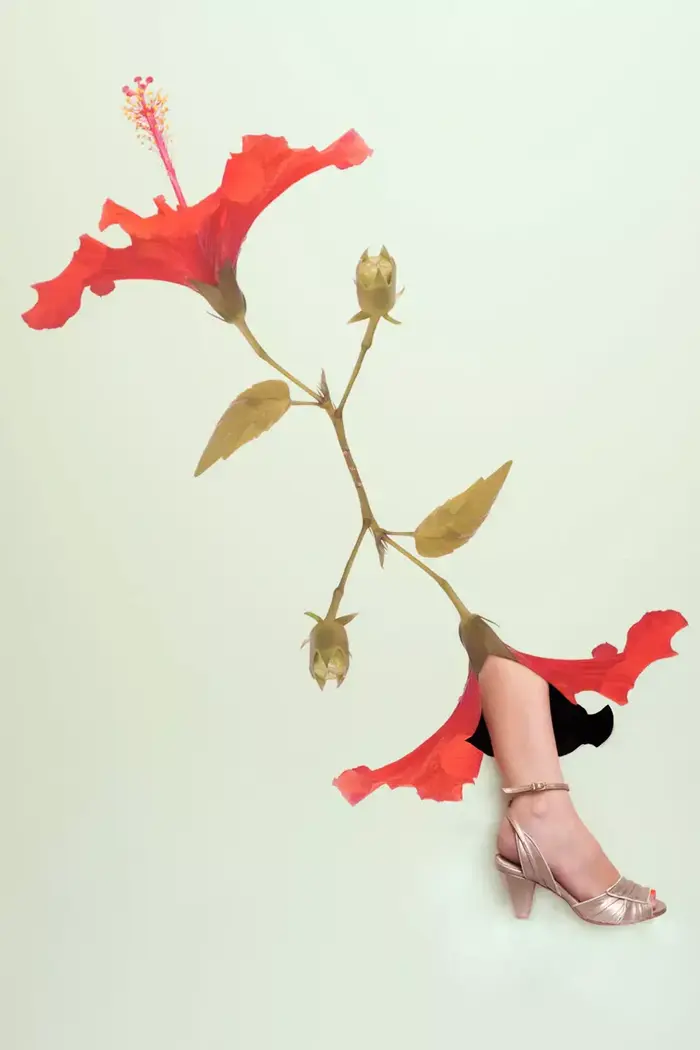 קולקציית קיץ 2012 של אוליב תומס (יח"צ , שרי קירשנר) קולקציית קיץ 2012 של אוליב תומס (יח"צ , שרי קירשנר)