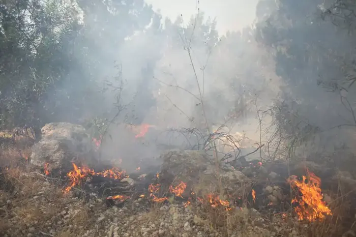 שריפה ביער בן שמן, 10.8.12 (יותם רונן) שריפה ביער בן שמן, 10.8.12 (יותם רונן)