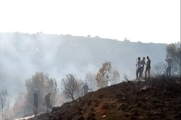 שריפה ביער בן שמן, 10.8.12 (עומר מירון) שריפה ביער בן שמן, 10.8.12 (עומר מירון)