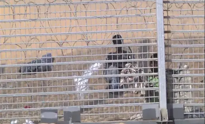 שבוע חלף - קבוצת המסתננים עדיין תקועה בגבול (שי מכלוף) שבוע חלף - קבוצת המסתננים עדיין תקועה בגבול (שי מכלוף)