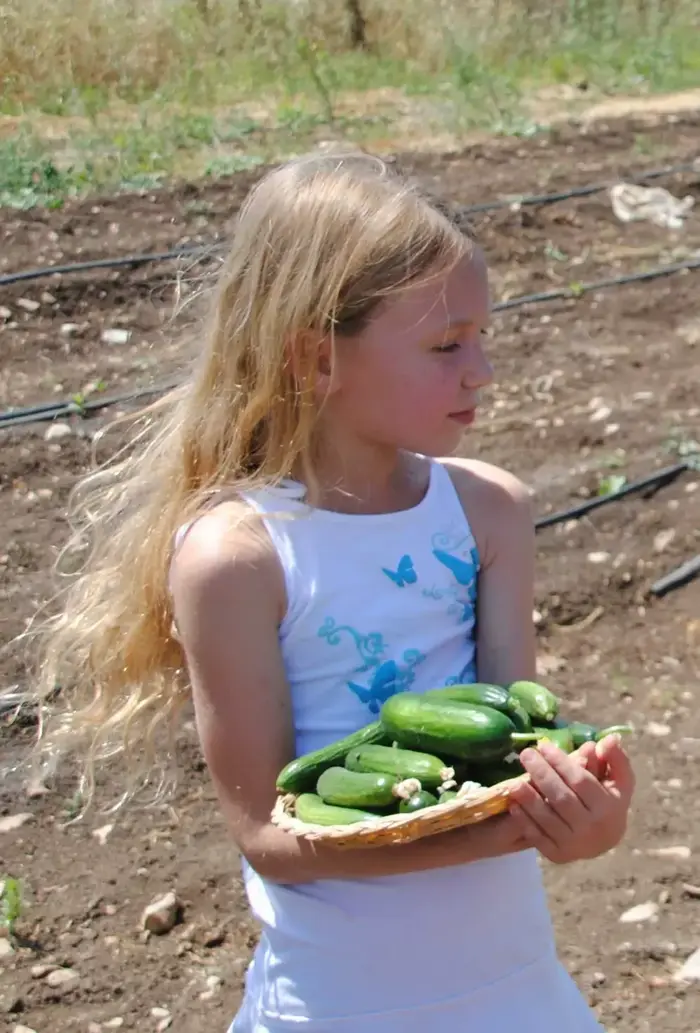 קטופותי עמק יזרעאל ראש השנה 2012 (יח"צ , נגה וייס)