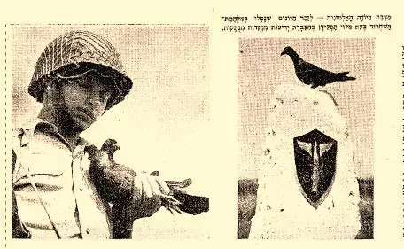 זמן צהוב (סריקה) זמן צהוב (סריקה)