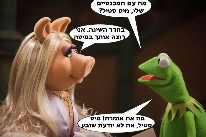 אילוסטרציה (רחלי רוטנר) אילוסטרציה (רחלי רוטנר)