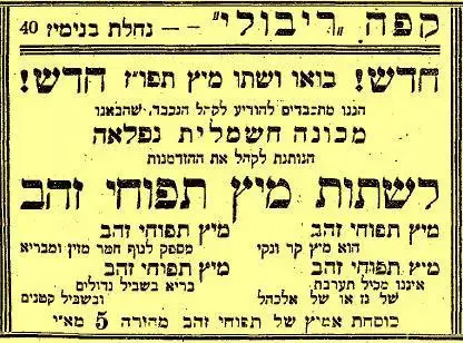 זמן צהוב (סריקה) זמן צהוב (סריקה)