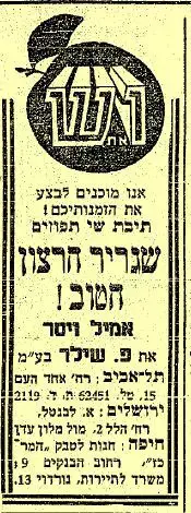 זמן צהוב (סריקה) זמן צהוב (סריקה)