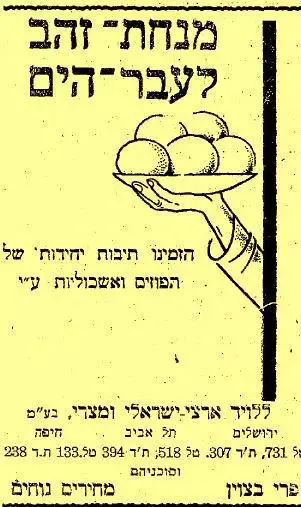 זמן צהוב (סריקה) זמן צהוב (סריקה)