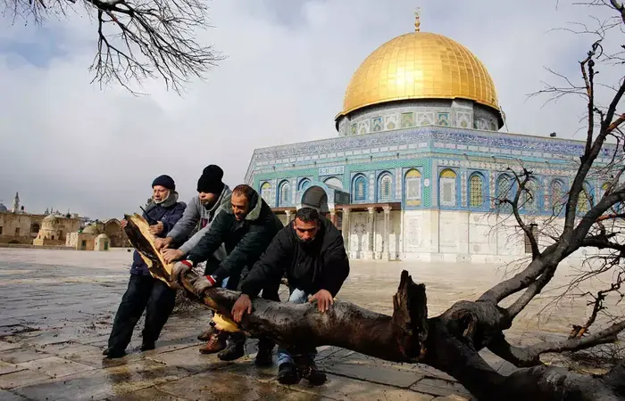 עץ שקרס בעקבות הסערה ליד כיפת הסלע בהר הבית בירושלים (רויטרס) עץ שקרס בעקבות הסערה ליד כיפת הסלע בהר הבית בירושלים (רויטרס)