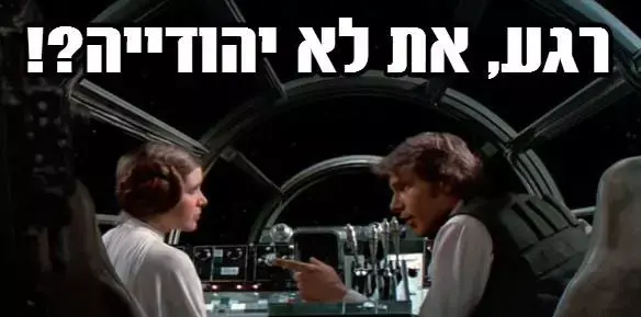 ממים תשדיר ש"ס (תמונות גולשים , אני לקבל יכול פלאפל)