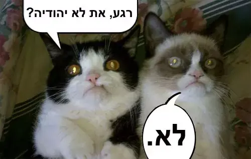 ממים תשדיר ש"ס (תמונות גולשים , אלכס פולונסקי)