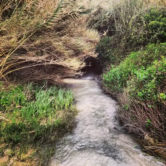 תחרות צילום טבע עירוני (החברה להגנת הטבע , אסור לשימוש קובי בן גלים) תחרות צילום טבע עירוני (החברה להגנת הטבע , אסור לשימוש קובי בן גלים)