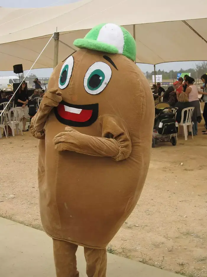 תפוח אדמה, פסטיבל תפוחי אדמה (יח"צ , לבנת גנזבורג) תפוח אדמה, פסטיבל תפוחי אדמה (יח"צ , לבנת גנזבורג)