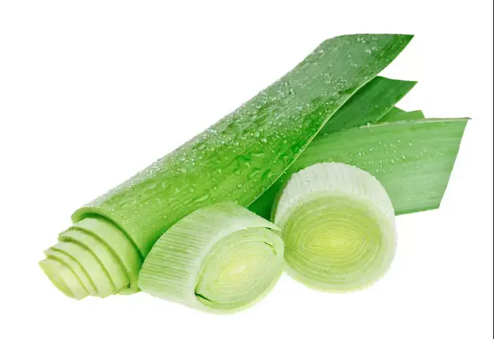 כרישה (ShutterStock) כרישה (ShutterStock)