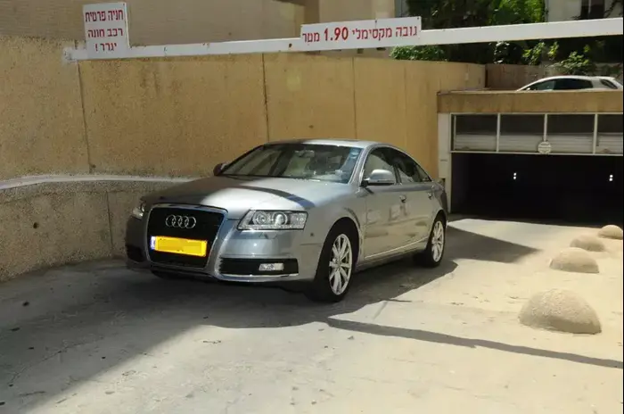 יונית לוי (ברק פכטר) יונית לוי (ברק פכטר)
