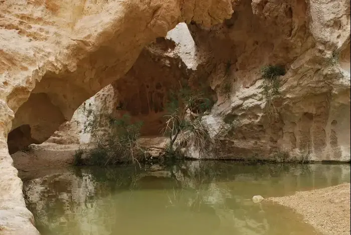 עין ירקעם (יח"צ)