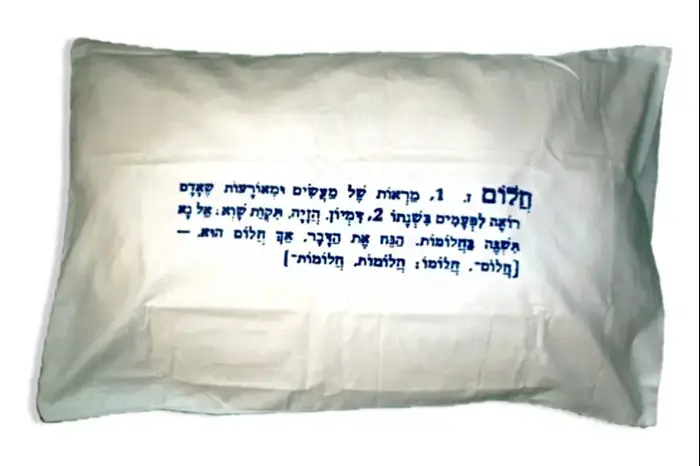 ציפית לכרית עם הדפס של דל'ארטה, 89 שקלים (יח"צ) ציפית לכרית עם הדפס של דל'ארטה, 89 שקלים (יח"צ)