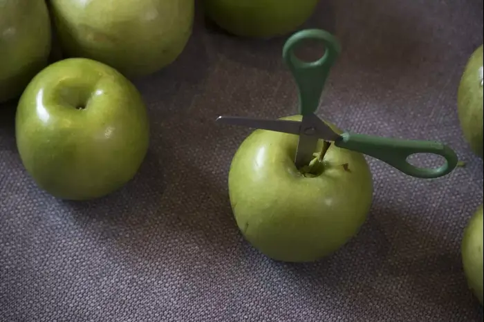 סידור פרחים חגיגי בעיצוב כריס וייס (נמרוד סונדרס) סידור פרחים חגיגי בעיצוב כריס וייס (נמרוד סונדרס)