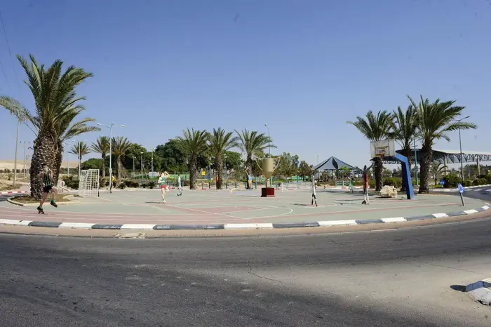 העיר דימונה (דייב בוימוביץ') העיר דימונה (דייב בוימוביץ')