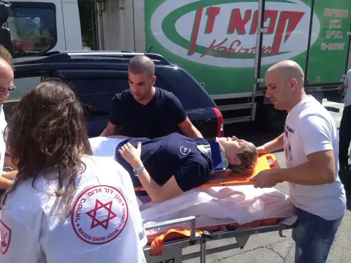 לבנה זוהרים (תמונות גולשים) לבנה זוהרים (תמונות גולשים)