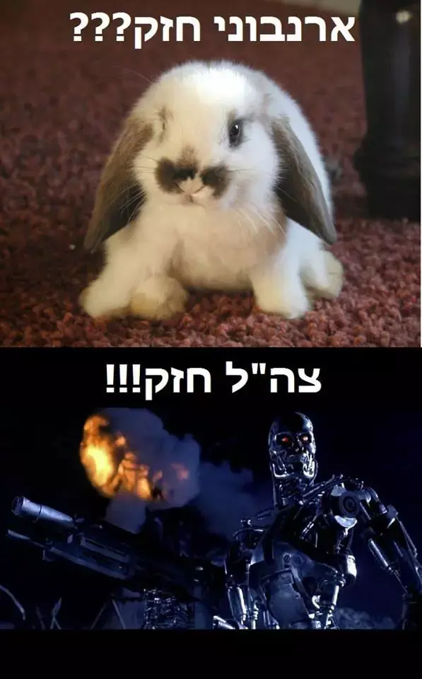 ממים בפייסבוק על הפרסומת לצה"ל (אתר רשמי , פייסבוק) ממים בפייסבוק על הפרסומת לצה"ל (אתר רשמי , פייסבוק)
