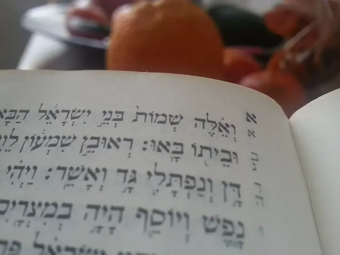 חיים של אבא (יח"צ , ארז מיכאלי) חיים של אבא (יח"צ , ארז מיכאלי)