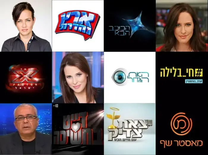 סיכום רייטינג 2013 (יח"צ)
