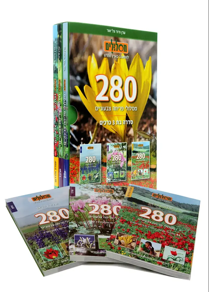 280 מסלולי פריחה צבעוניים, הוצאת מסלולים, ערן ודוד גל אור (יח"צ , צילום: יוני רייף) 280 מסלולי פריחה צבעוניים, הוצאת מסלולים, ערן ודוד גל אור (יח"צ , צילום: יוני רייף)
