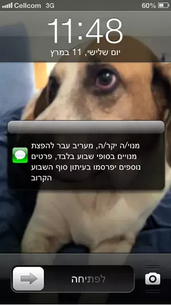 הודעת מנוי מעריב (צילום מסך)