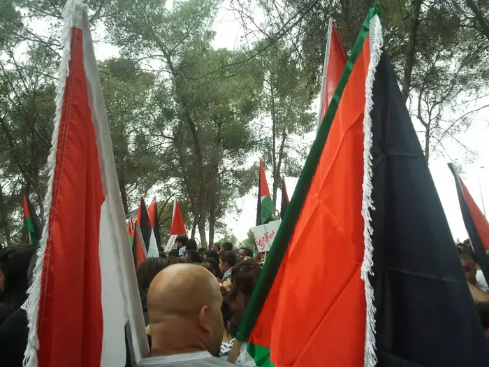 הפגנת פלסטינים ביער לביא, מאי 2014 (דרור עינב) הפגנת פלסטינים ביער לביא, מאי 2014 (דרור עינב)