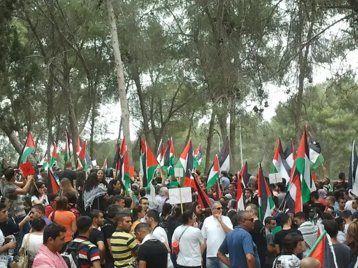 הפגנת פלסטינים ביער לביא, מאי 2014 (דרור עינב) הפגנת פלסטינים ביער לביא, מאי 2014 (דרור עינב)