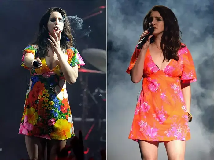 לנה דל ריי בפסטיבל קואצ'לה 2014 (GettyImages)