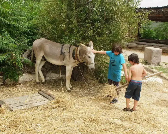 נאות קדומים (יח"צ , איל שפירא)