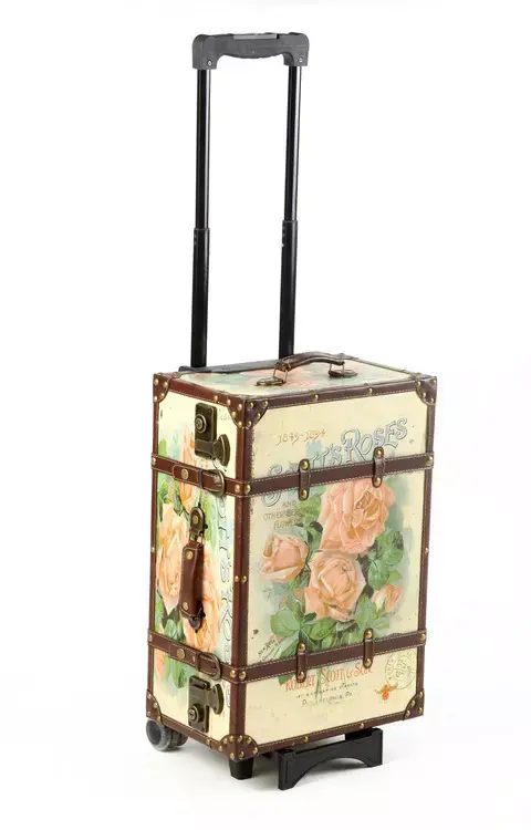 מזוודה וינטג' (אתר רשמי , קרדיט: www.aliexpress.com)
