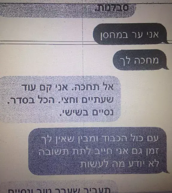 התכתבות בין החוקר הפרטי לבין המתווך של אלי מוסלי וגלעד גרנביץ (צילום מסך) התכתבות בין החוקר הפרטי לבין המתווך של אלי מוסלי וגלעד גרנביץ (צילום מסך)