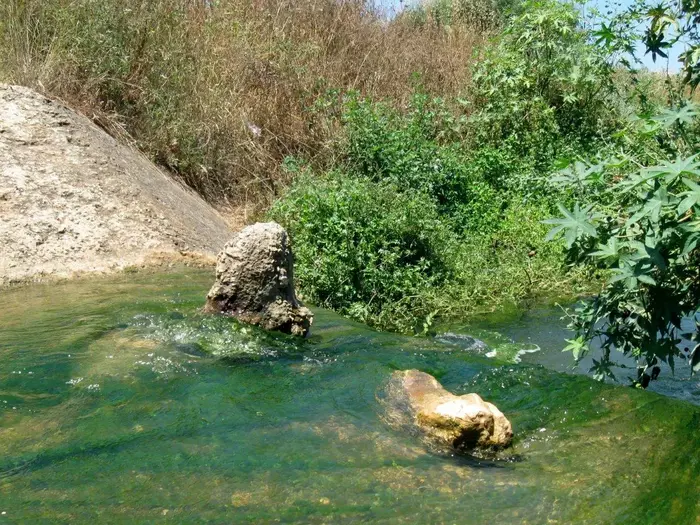 נחל שרך (יח"צ , אריאלה אפללו) נחל שרך (יח"צ , אריאלה אפללו)