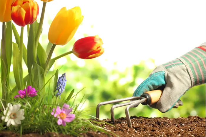 ירקות גינה (ShutterStock) ירקות גינה (ShutterStock)