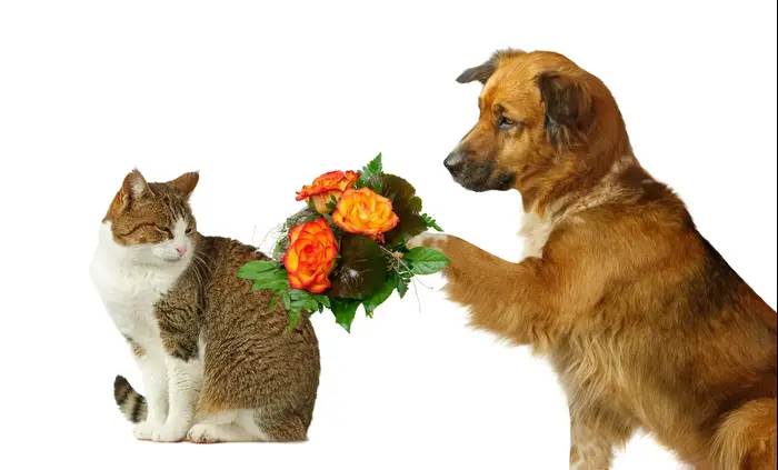 סליחה (ShutterStock) סליחה (ShutterStock)