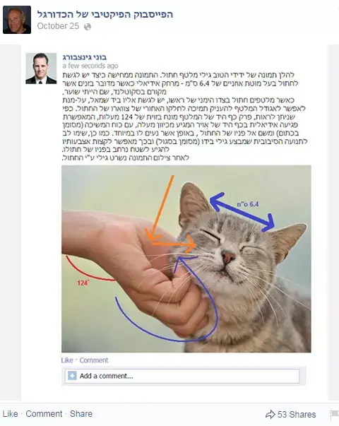 בוני גינצבורג מסביר איך ללטף חתול (צילום מסך) בוני גינצבורג מסביר איך ללטף חתול (צילום מסך)