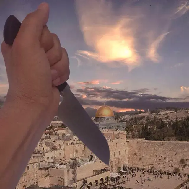 תמונות איתן אסרף (תמונות גולשים , איתן אסרף) תמונות איתן אסרף (תמונות גולשים , איתן אסרף)