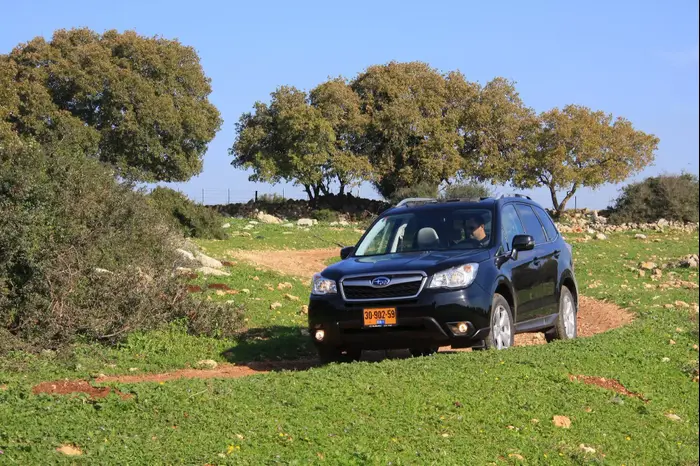 טיול ג'יפונים כרמל (יח"צ , רמי גלבוע) טיול ג'יפונים כרמל (יח"צ , רמי גלבוע)