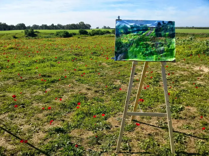 כלניות יער שוקדה (יח"צ , צילום: זיו ריינשטיין) כלניות יער שוקדה (יח"צ , צילום: זיו ריינשטיין)