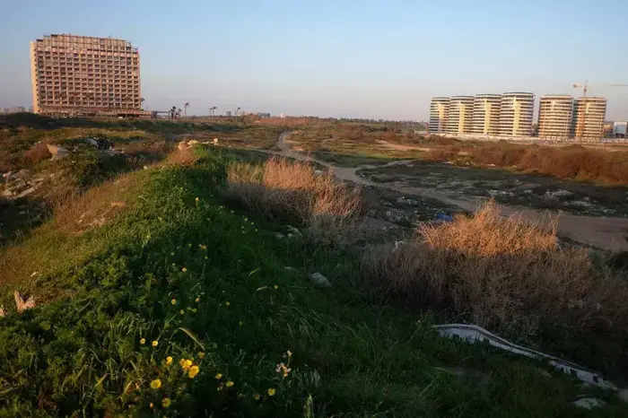 שטחים פתוחים ליד הסי אנד סאן עליהם השתלטו גורמים עבריינים, מרץ 2015 (יותם רונן) שטחים פתוחים ליד הסי אנד סאן עליהם השתלטו גורמים עבריינים, מרץ 2015 (יותם רונן)
