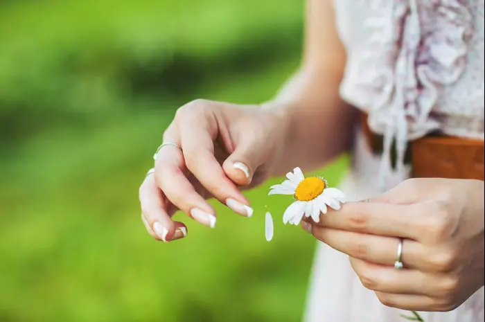 אישה מחזיקה בפרח (ShutterStock) אישה מחזיקה בפרח (ShutterStock)