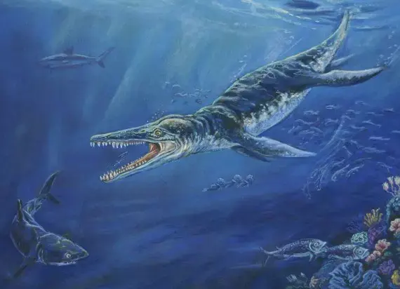 איור של קרונוזאור (יח"צ , Lisa Wallace/Kronosaurus Korner) איור של קרונוזאור (יח"צ , Lisa Wallace/Kronosaurus Korner)