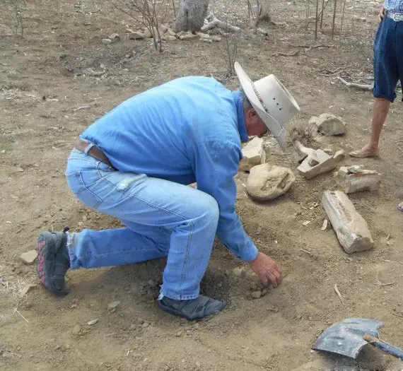 רוברט האקון מצא מאובנים של קרונוזאור בחווה שלו (יח"צ , Kronosaurus Korner) רוברט האקון מצא מאובנים של קרונוזאור בחווה שלו (יח"צ , Kronosaurus Korner)